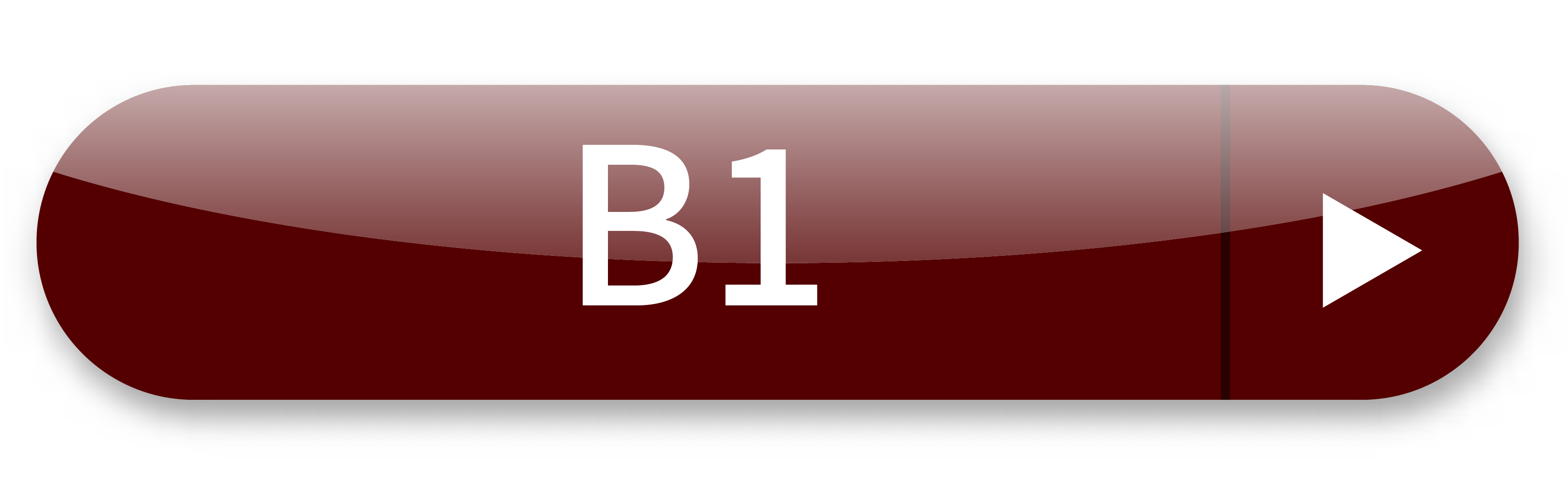 b1