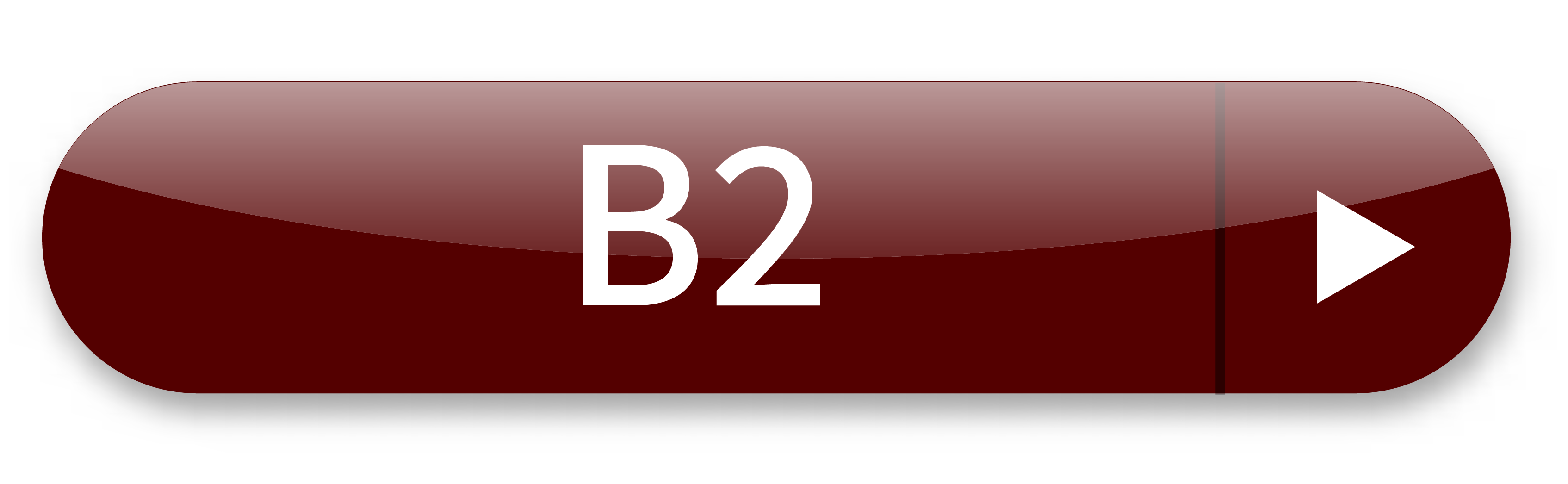 b2